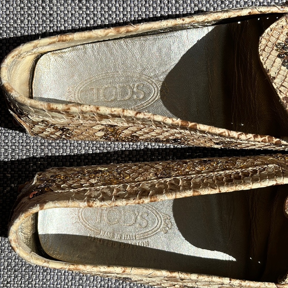 Tod’s Limited Edition ~ Brown/Cream Python With G… - image 5
